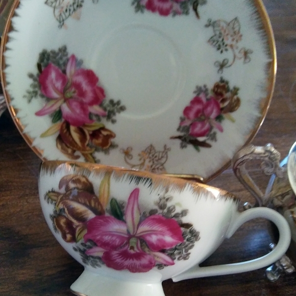 Cattleya Orchid Tea Cup Ready for Spring - Picture 4 of 8